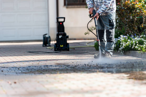 Best Roof Pressure Washing  in Lake Sarasota, FL