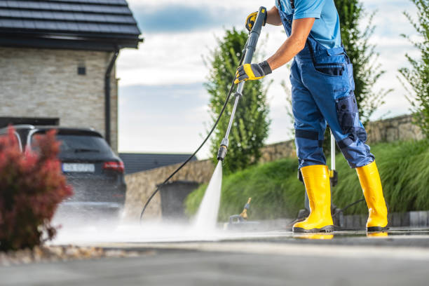 Best Roof Pressure Washing  in Lake Sarasota, FL